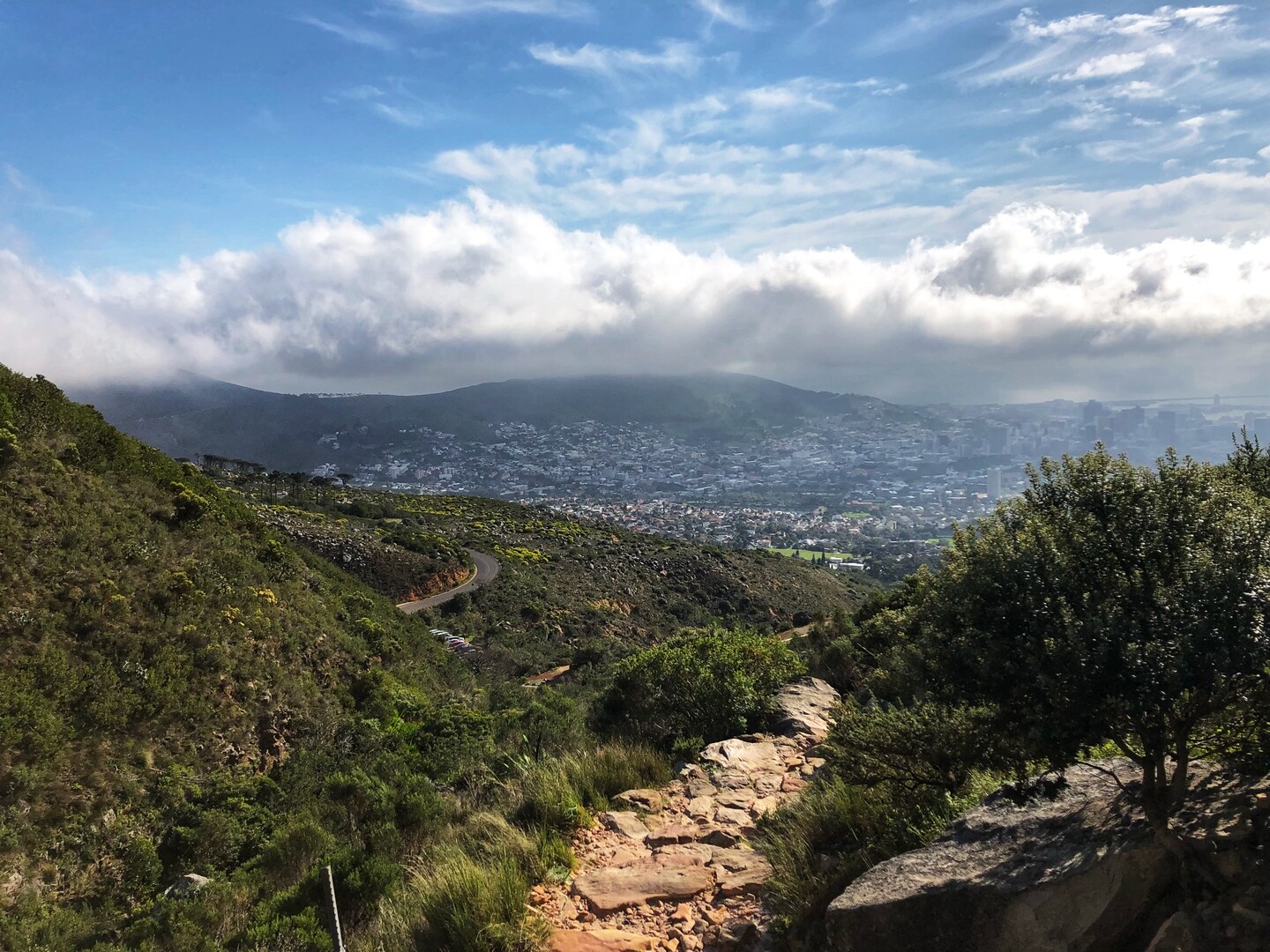 Cape Town: Table Mountain Hike with an Expert Guide